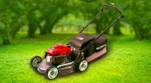 Lawn Mower & Catcher/Push Mower